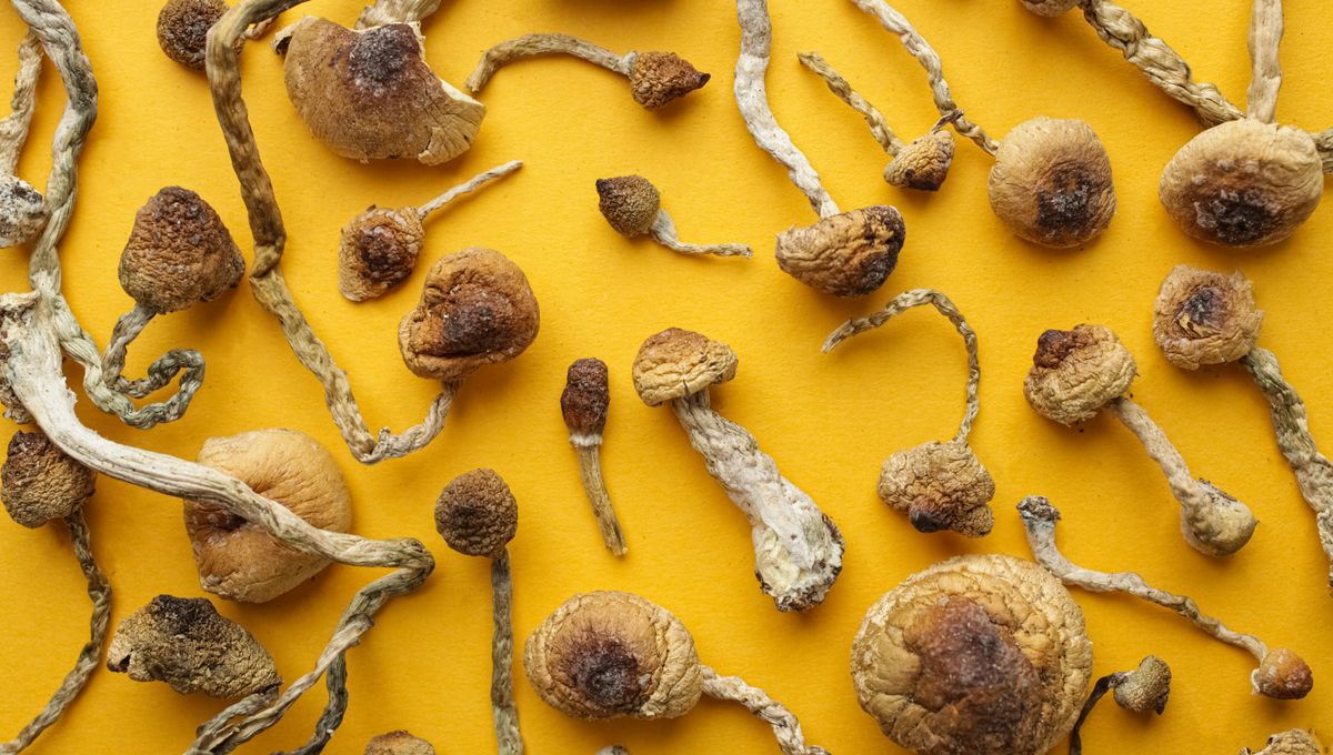 assets.iflscience.com image