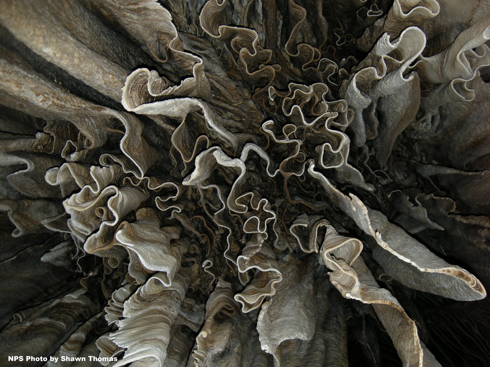 A drapery formation, looking like very thin wiggly sheets of rock all scrunched up like you're looking upwards at a curtain. A drapery formation, looking like very thin wiggly sheets of rock all scrunched up like you're looking upwards at a curtain.