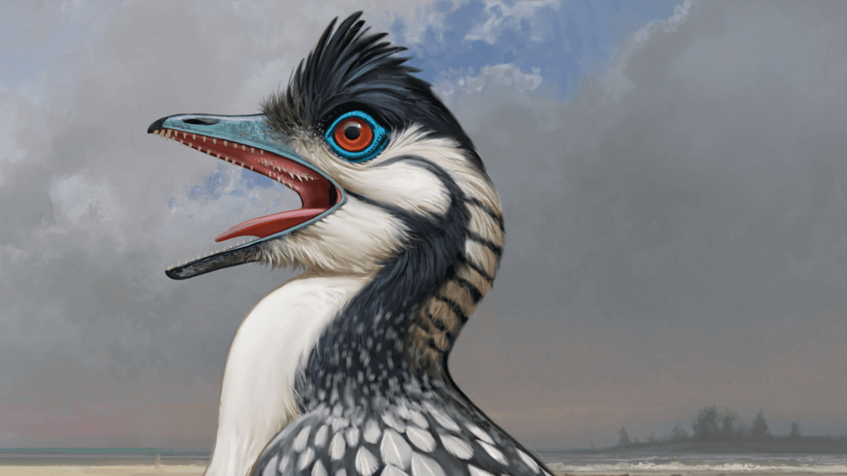 Glowing Archaeopteryx Fossil Reveals Freaky Feature Inside Its Skull We’ve Never Seen Before