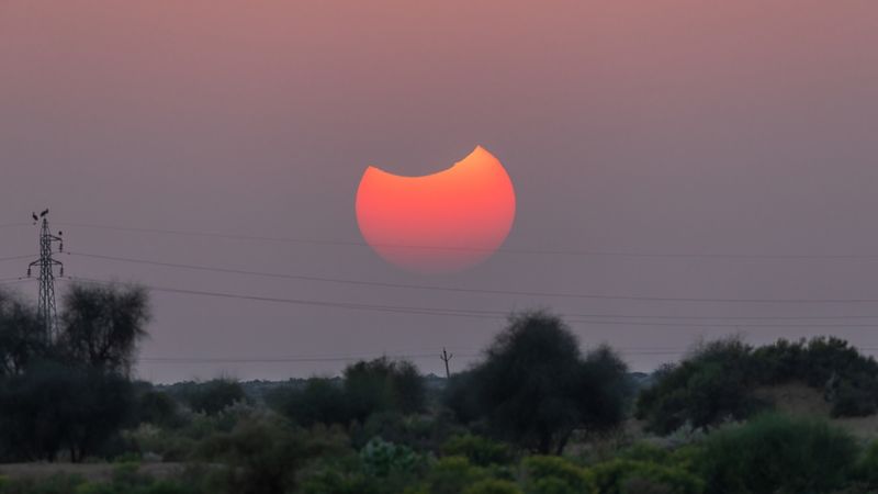 A partial solar eclipse where it looks like a scoop has been taken out of the Sun, infront of a line of trees