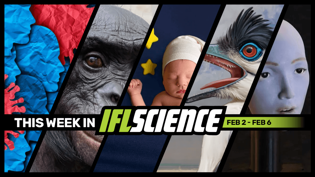 These Are The 3 Viruses To Watch In 2026, We Have No Idea If It’s Safe To Have Babies In Space, And Much More This Week