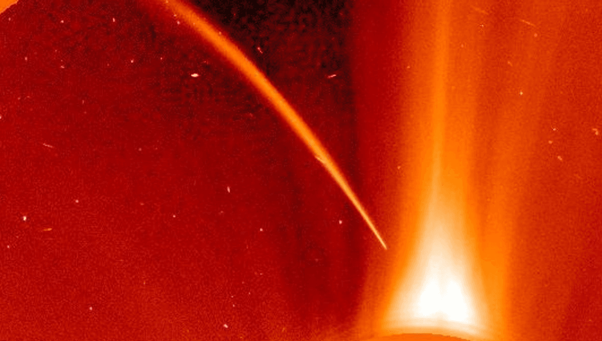 Newly Discovered Comet C/2026 A1 (MAPS) Approaches Perihelion