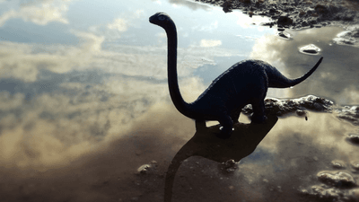 sauropod standing in a lake