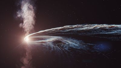 the star is is just a fluffy stream wrapping around a black hole with a bright flare near it.