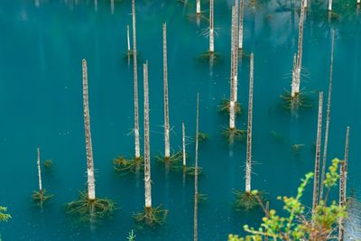 Kaindy Lake