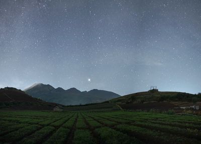 Agricultural fields at night, a bright jupiter is visible in the sky.