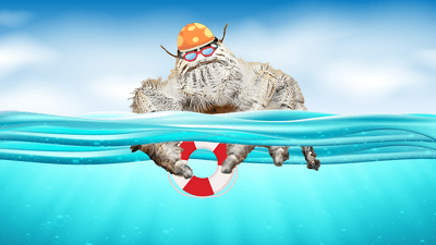 A image of a half underwater half above water graphic with a spider wearing an orange spotty swimming cap, holding a red and white life ring and wearing red goggles.
