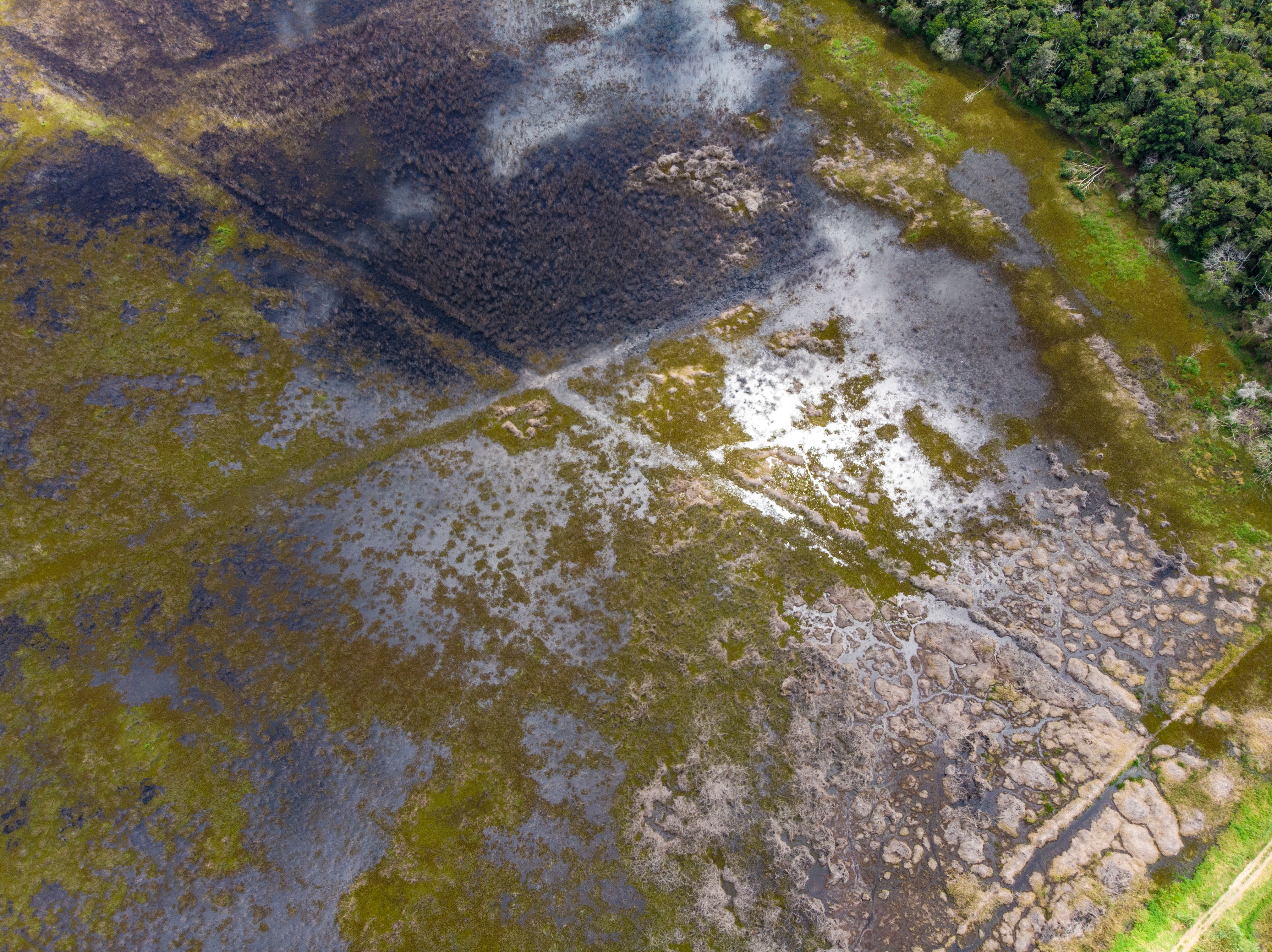 Farm flooded by water from the Doce River, due to the collapse of the Fundão dam in Mariana, Minas Gerais. Shrimp breeding tanks hit by flooding Farm flooded by water from the Doce River, due to the collapse of the Fundão dam in Mariana, Minas Gerais. Shrimp breeding tanks hit by flooding