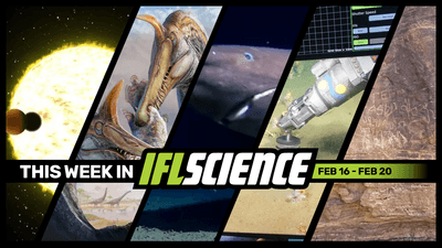 Sign up to get IFLScience's weekly science email TWIS delivered straight to your inbox.