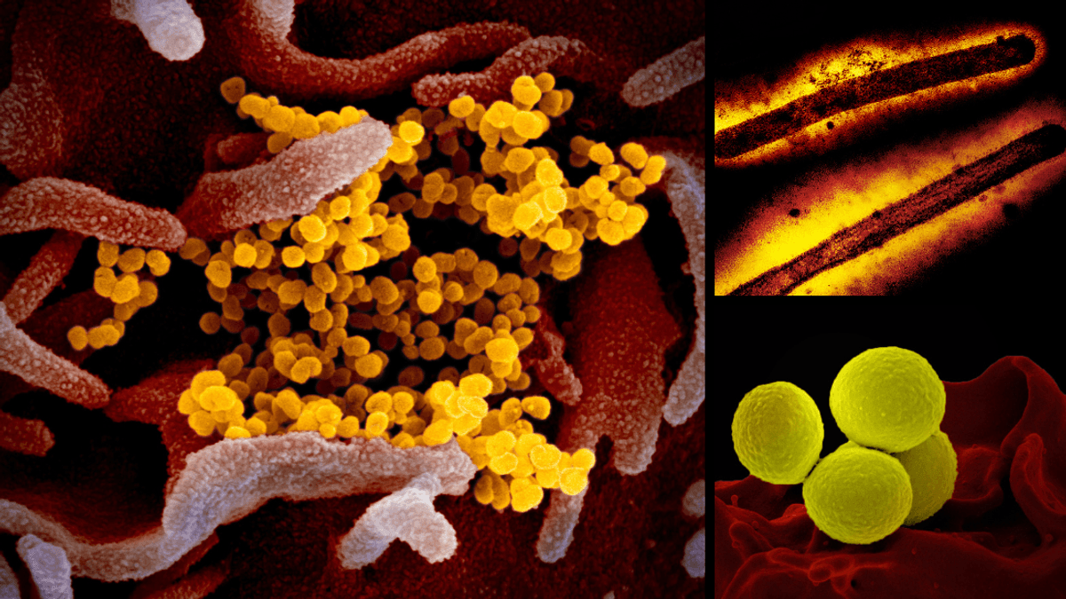 New Type Of Vaccine Could One Day Give Universal Protection Against Colds, Flu, COVID – You Name It!