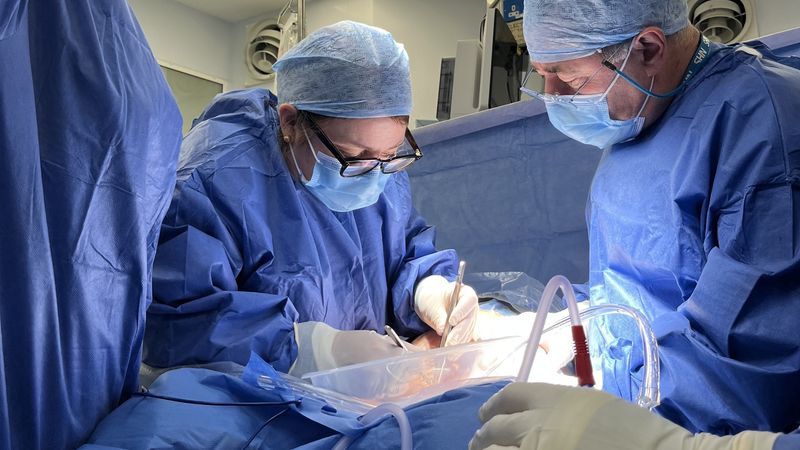 Surgeons in the operating theatre working on a womb transplant.