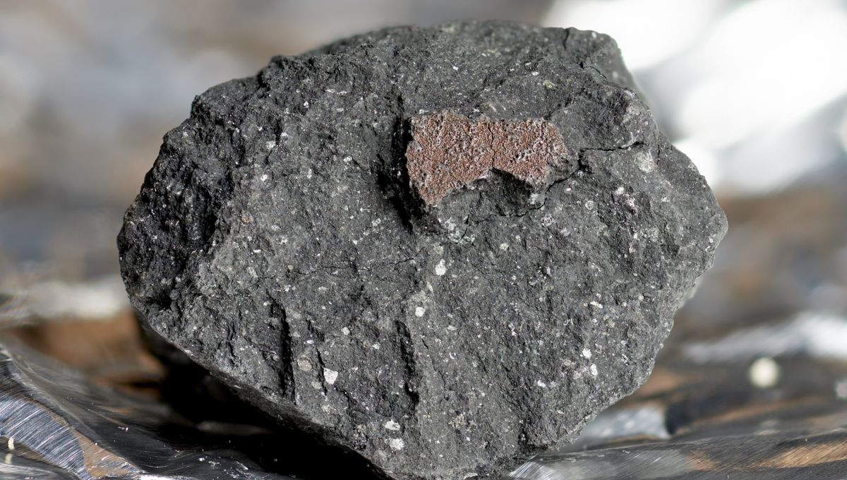 Window Meteorite Winchcombe Meteorite: The Space Rock That Hit A Driveway And Became A ...