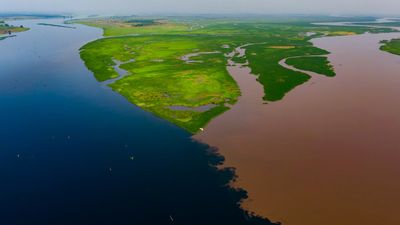 At the confluence of the Fimi and Kasai rivers in the Democratic Republic of Congo, dark water from forest landscapes meets water from the savannahs, colored red by iron oxides.