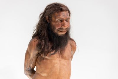 Neanderthal man