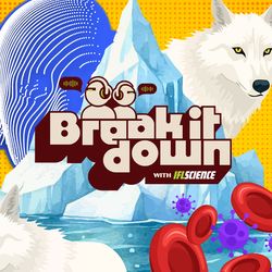 Episode 79 of IFLScience Break It Down