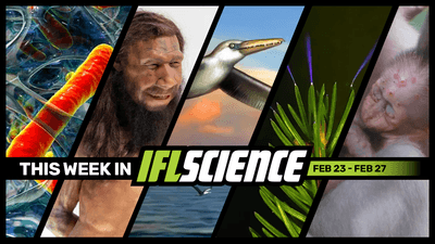 All the biggest science news stories of the week.
