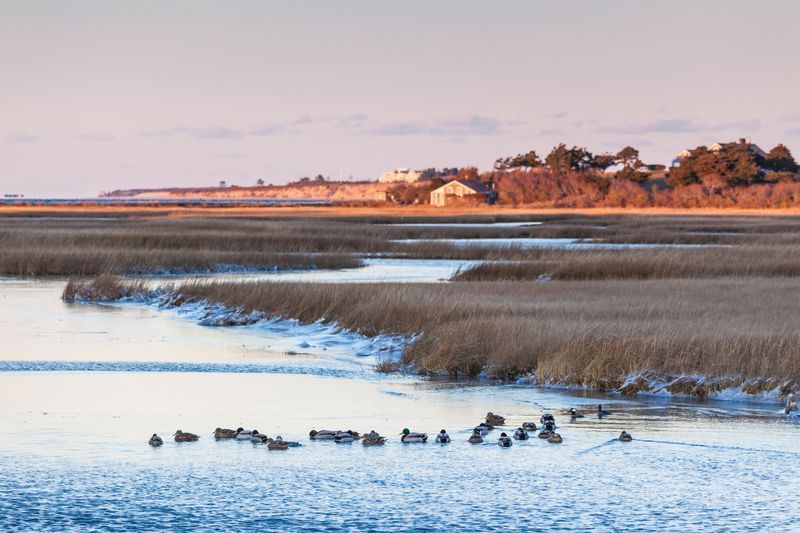 USA, Massachusetts, Nantucket Island. Shawkemo, sunset view of Nantucket Harbor.