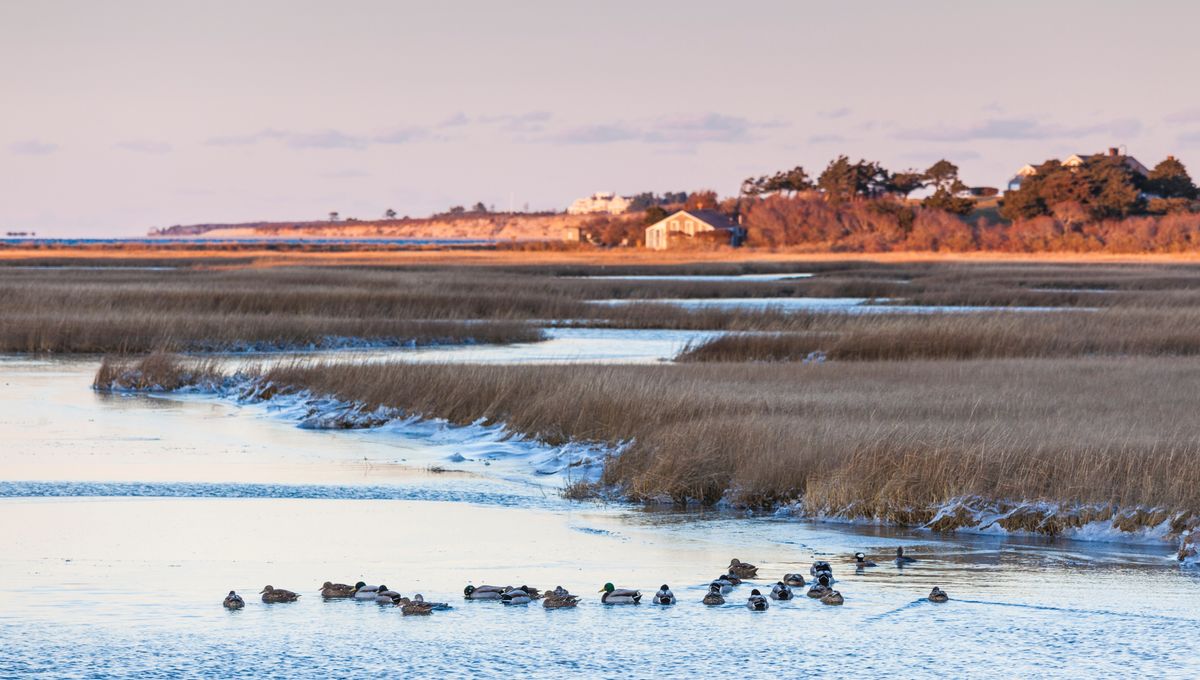 Drinking Water Fed By 12,000-Year-Old Glacial Aquifers Deep Beneath The US Could Protect Against Parkinson’s Disease - IFLScience