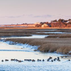 USA, Massachusetts, Nantucket Island. Shawkemo, sunset view of Nantucket Harbor.