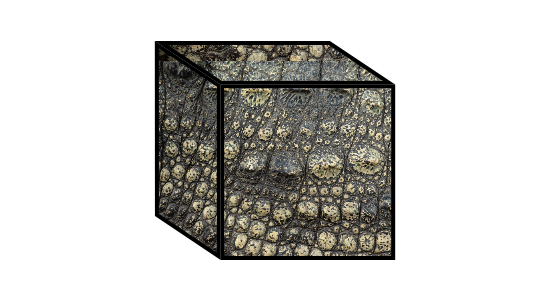 cube with textured surface like crocodile skin