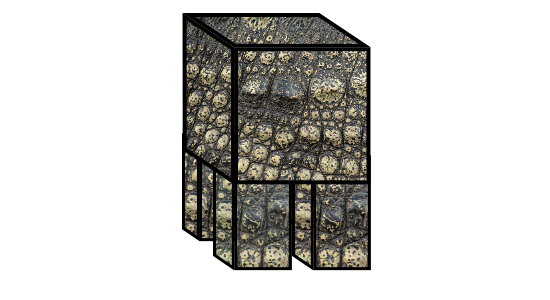 cube with crocodile skin texture sitting on four cuboidal legs with the same texture
