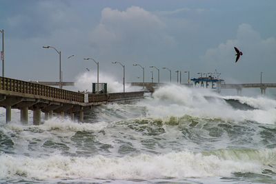 A photo taken of a peer in San Diego being buffeted by storm winds and a large waves. The waves are breaking against the beach and also spiling over the bridge-like structure extending further into the water. There is a single gull seen flying in the right hand corner. 