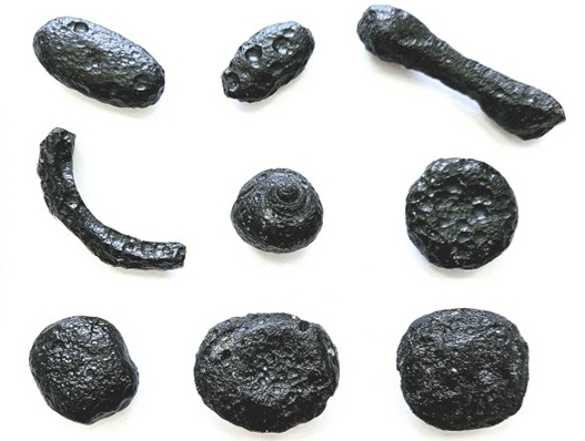 assemblage of 9 black rocks of varying shapes, some are round while others are egg or rod-shaped