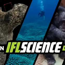 All the biggest science news stories of the week.