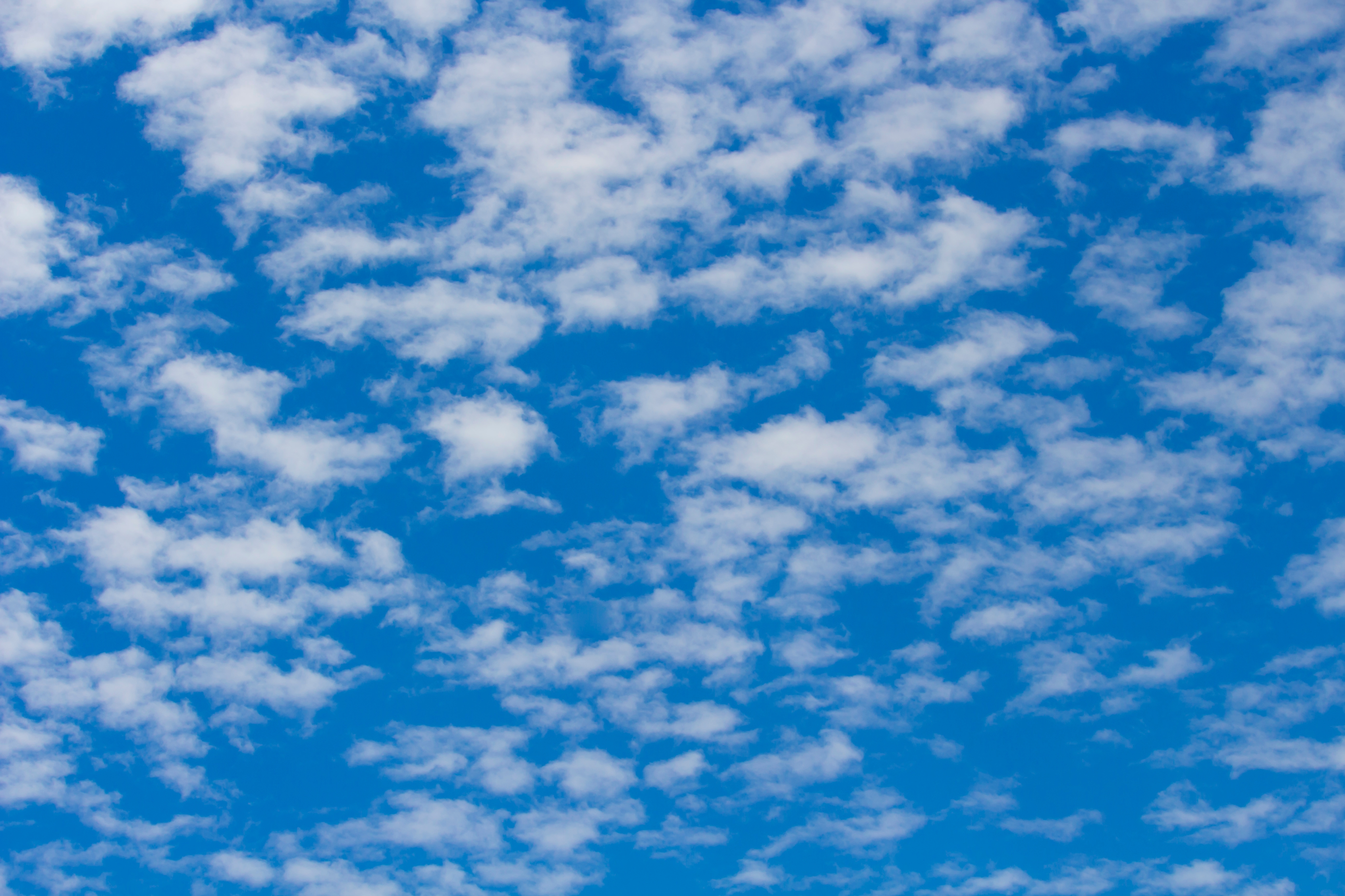 Altocumulus castellanus clouds form little battlements or castles. 