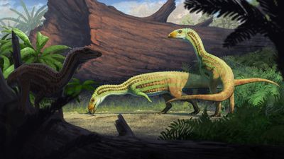 Artist's impression of Sonselasuchus cedrus in the woods that would later become the Petrified Forest National Park.
