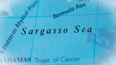map of the sargasso sea