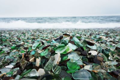 Glass Beach near Fort Bragg, sea glass on the coast