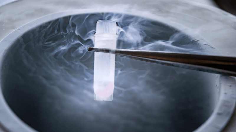 Cryopreservation of test tube on liquid nitrogen, a liquid nitrogen bank