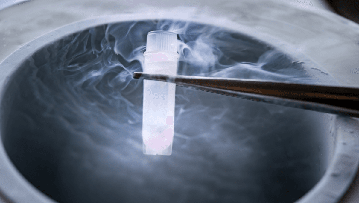 Can Cryopreserved Brains Be Brought Back? New Study Sees Activity In Mouse Brain Tissues Preserved At -196°C - IFLScience