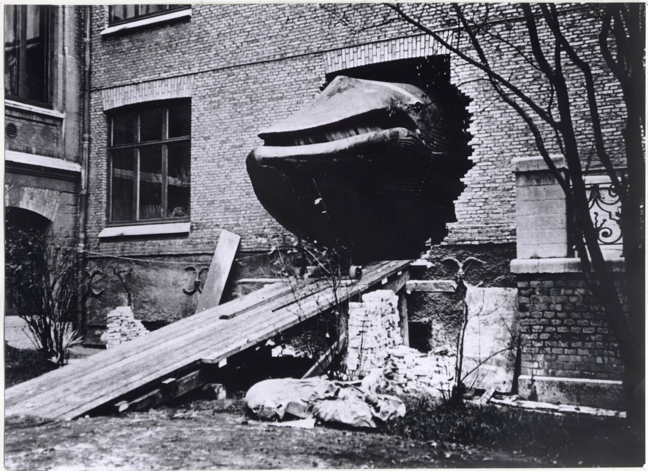 The Malm whale being moved to its future home Gothenburg Museum of Natural History. The whale was named after August Wilhelm Malm, curator at Gothenburg Museum's zoological department. The Malm whale being moved to its future home Gothenburg Museum of Natural History. The whale was named after August Wilhelm Malm, curator at Gothenburg Museum's zoological department.