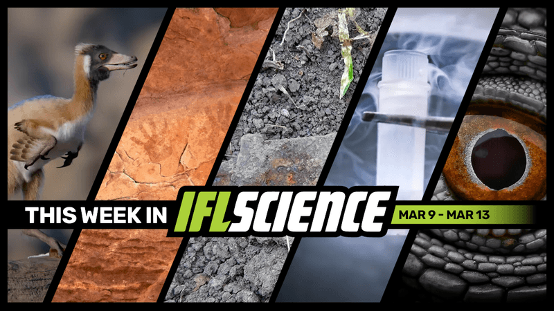 All the biggest science news stories of the week.