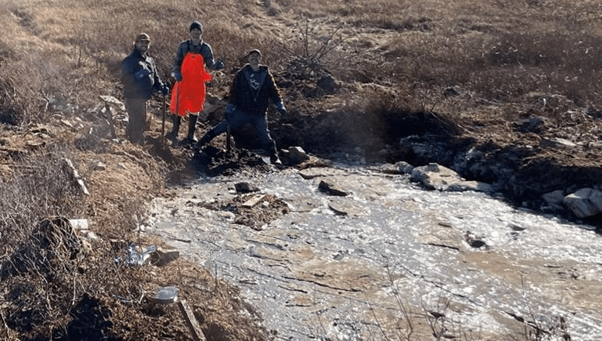 Was the “Kotlin Crisis” 550 Million Years Ago Earth’s First Extinction Event?