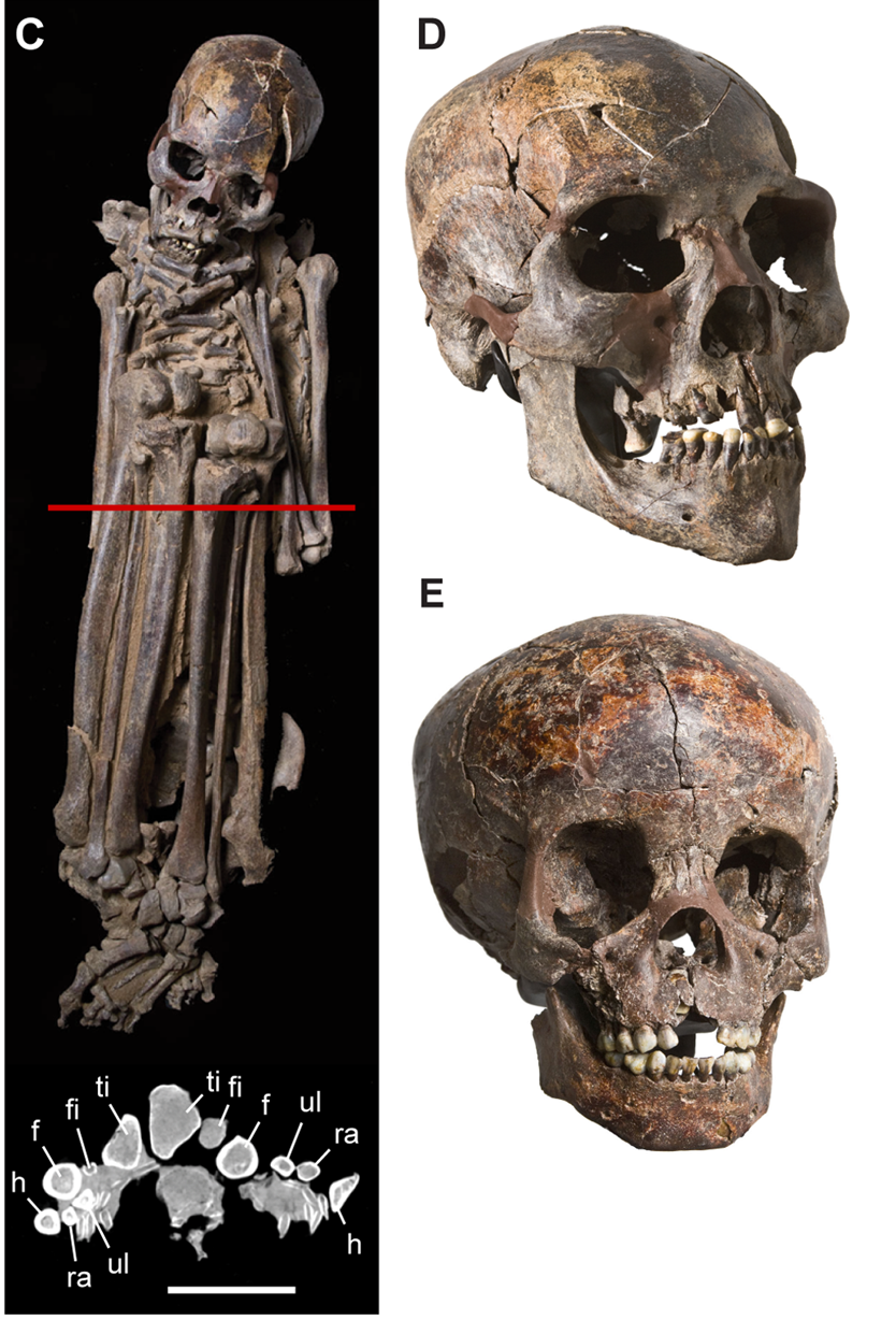 The skeleton of a tall adult male, buried around 7,500 BCE at Gobero, as well as skulls found at the cemetry. The skeleton of a tall adult male, buried around 7,500 BCE at Gobero, as well as skulls found at the cemetry.