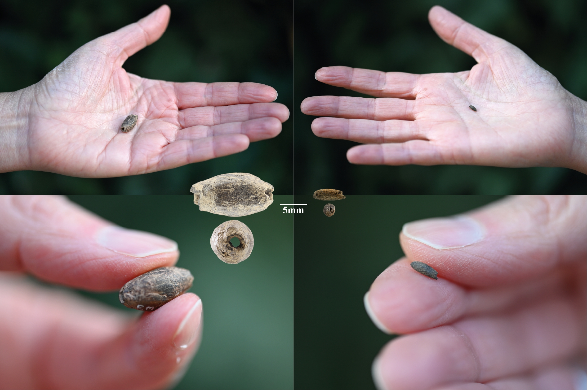 Elliptical clay beads imitating the shape of cereal crops.