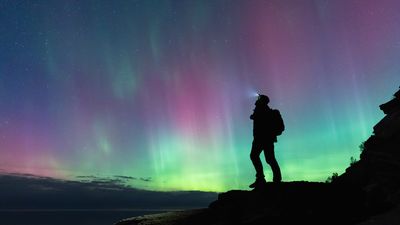 A hoker lookin at the sky filled with aurorae
