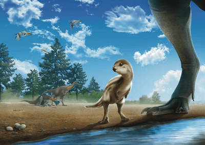 Artist's impression of Doolysaurus huhmini in its environment, with birds and non-avian dinosaurs of the era around it.