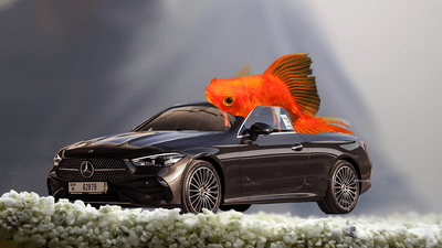 A goldfish photoshopping into a black car inside a fish tank