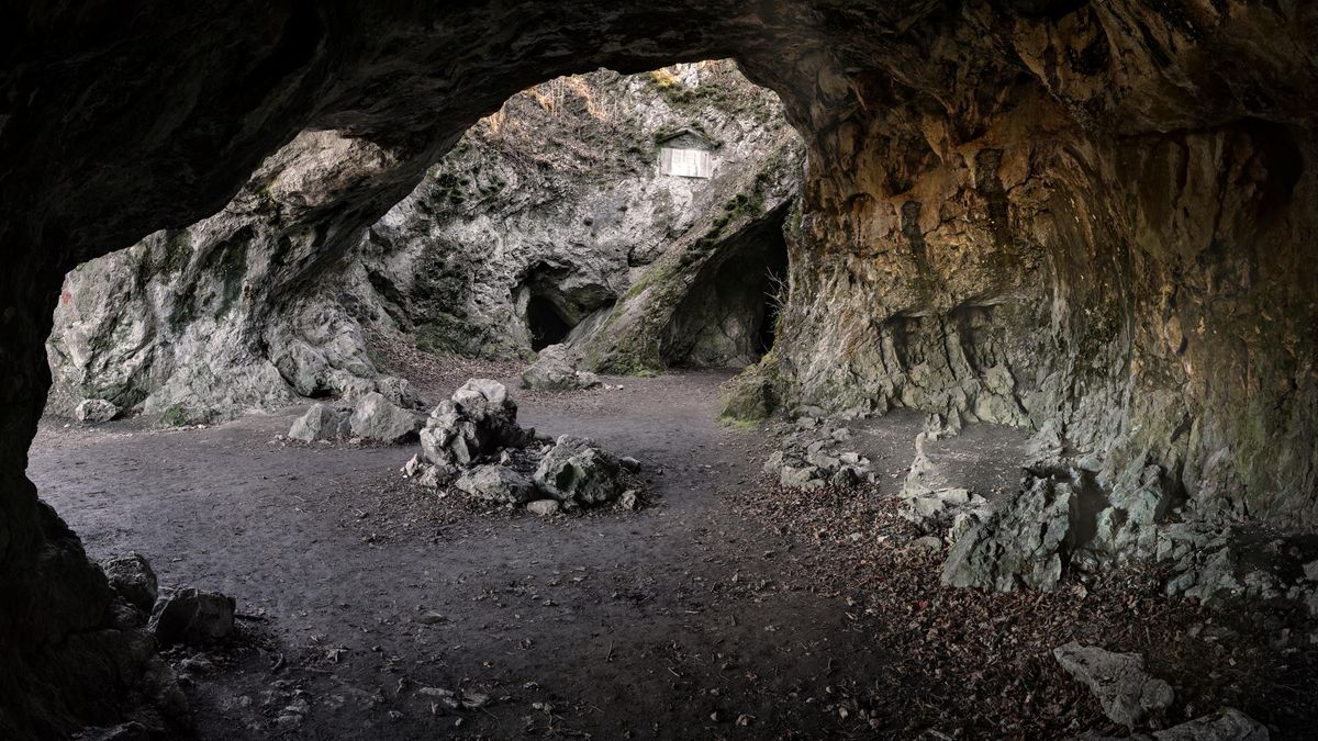 How Our Ancestors Out-Organized Neanderthals In Their Homes
