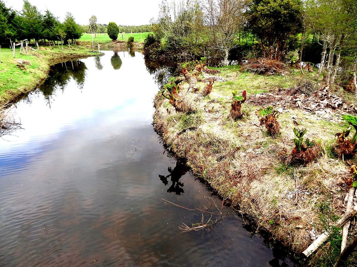 How And When Did Humans Populate The Americas? Redating Of Vital Site Reopens Debate – Again