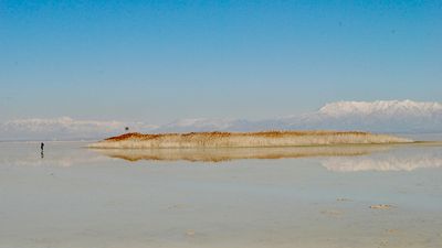 A pragmities-covered mound that has formed on the dry playa of Farmington Bay. It was formed in recent years by freshwater getting pushed to the surface of the exposed lakebed.  Credit Brian Maffly, University of Utah