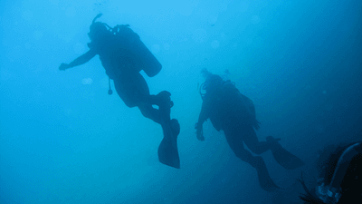 Two divers underwater.
