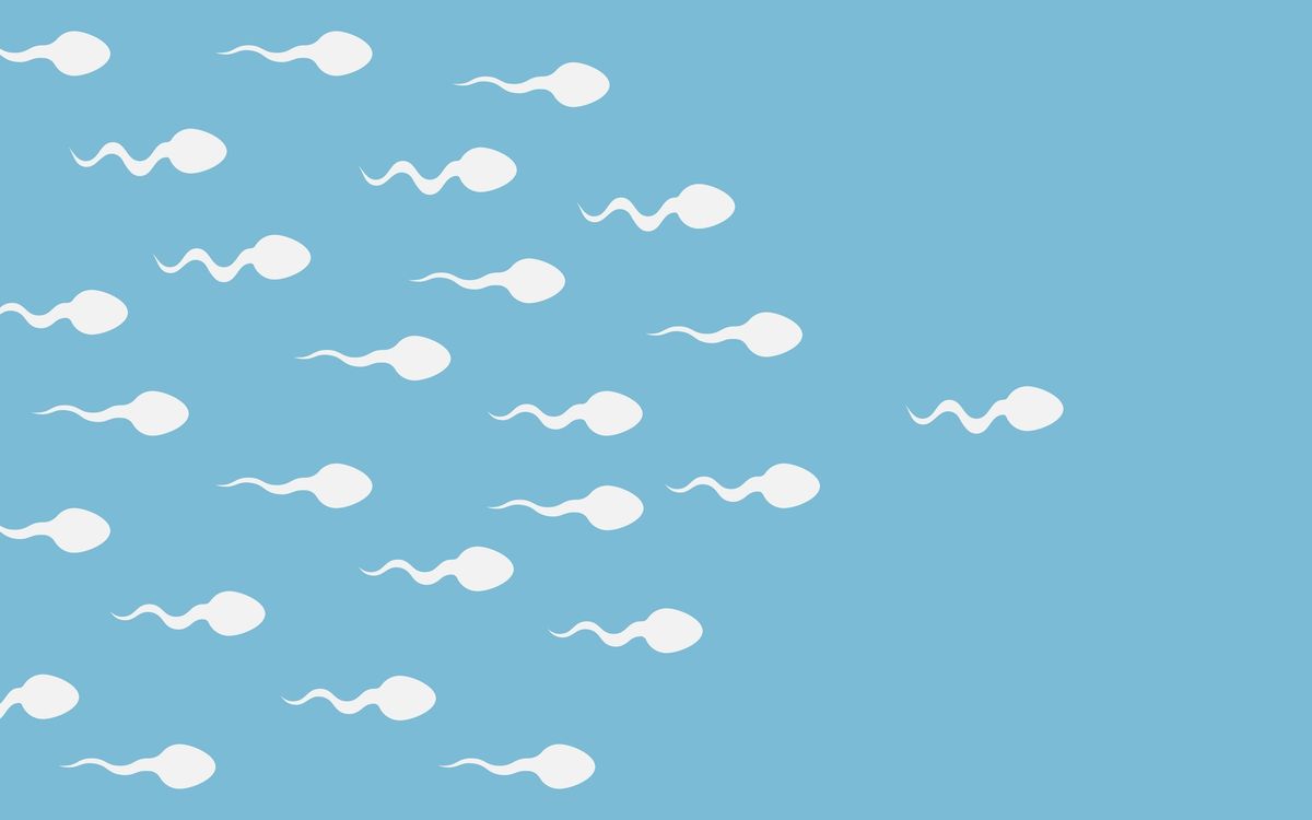Sperm Loses Its Sense Of Direction In Microgravity – No Space Babies For Us Just Yet