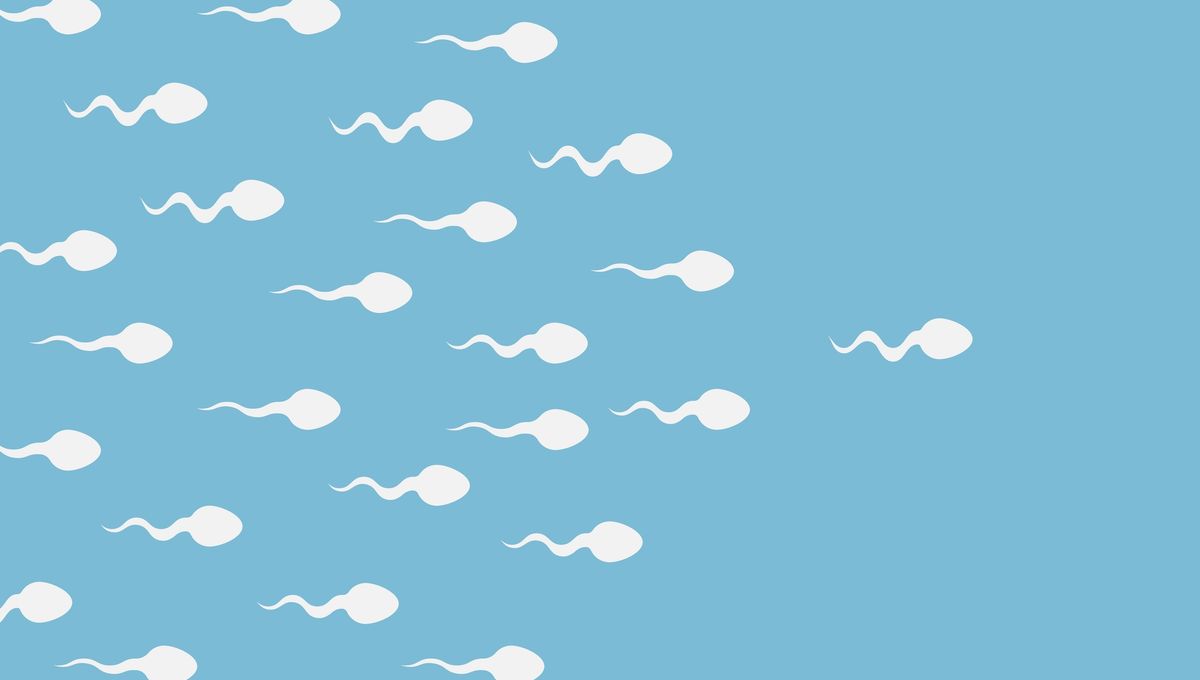 Sperm Loses Its Sense Of Direction In Microgravity – No Space Babies For Us Just Yet