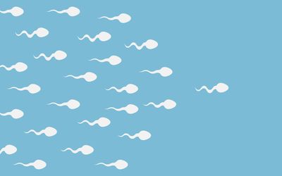 Illustration of lots of little white sperm all swimming in one direction following a leader.