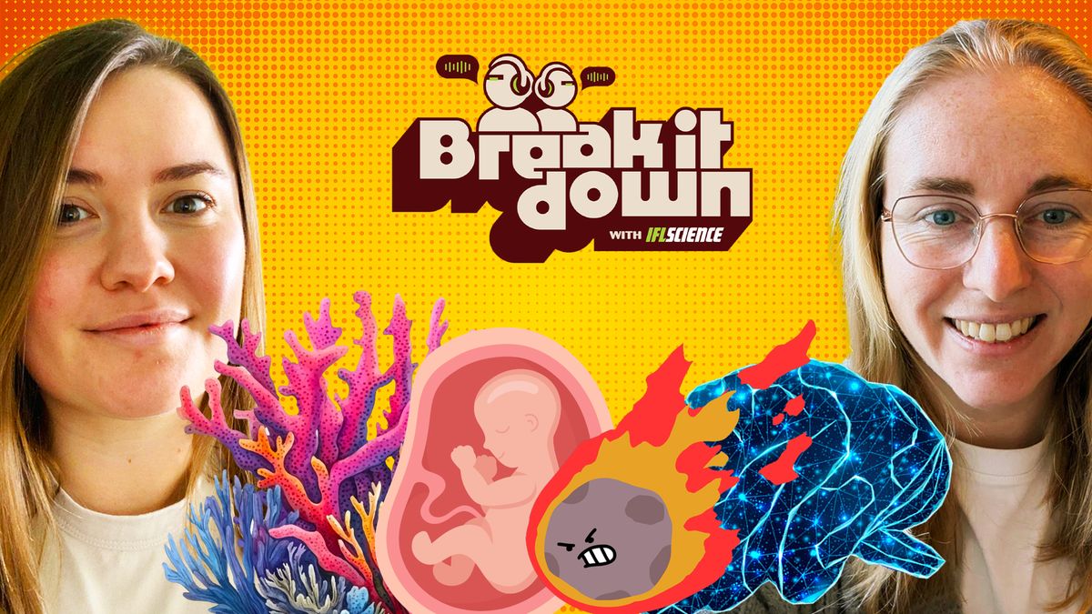 The Science Behind “Project Hail Mary”, Ghost Elephants, And Womb Transplants